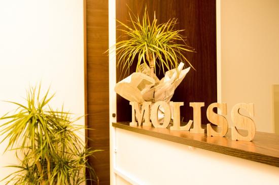 モリス 辻堂店(Moliss)(2)