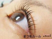 イズム アイラッシュ(ism eyelash)(1)