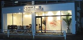 PRONAIL Shamballa(0)